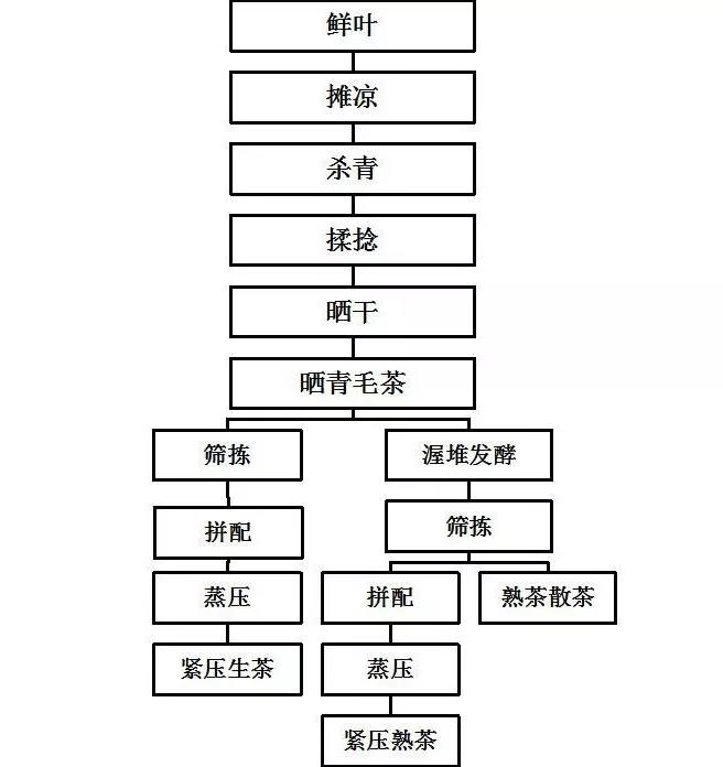 腾博汇游戏官网·(中国)专业服务,诚信为本