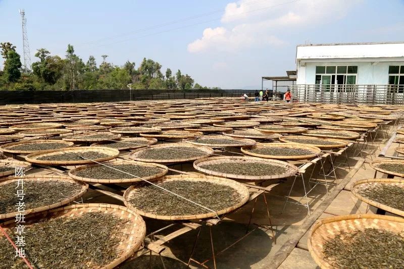 腾博汇游戏官网·(中国)专业服务,诚信为本