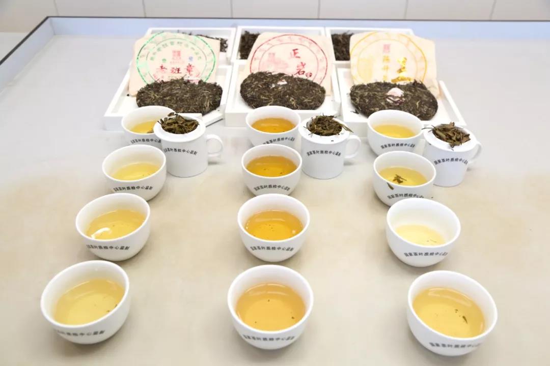 腾博汇游戏官网·(中国)专业服务,诚信为本