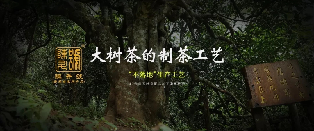 腾博汇游戏官网·(中国)专业服务,诚信为本