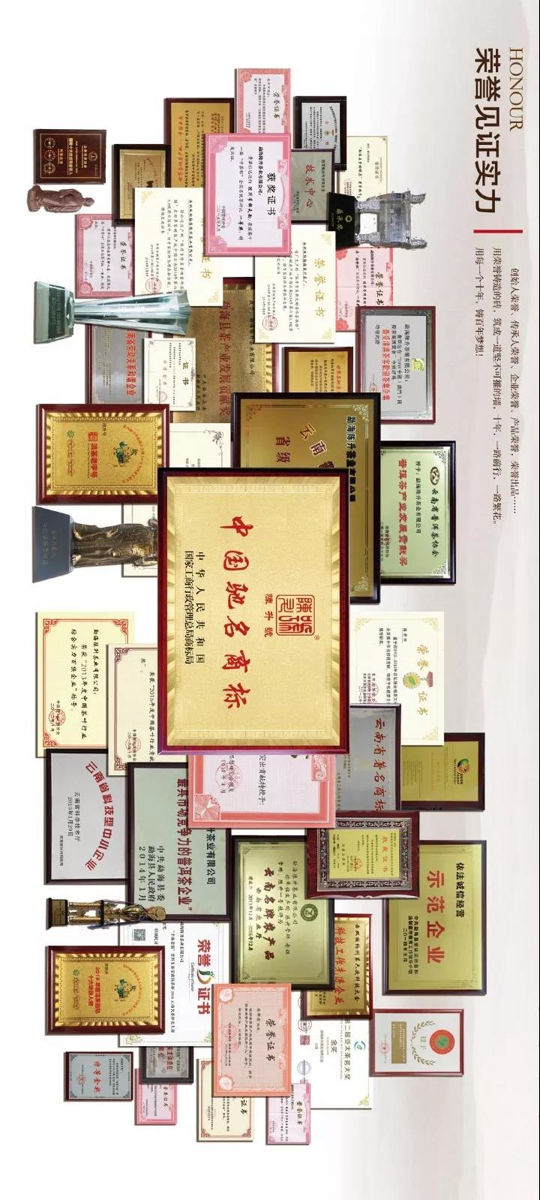 腾博汇游戏官网·(中国)专业服务,诚信为本