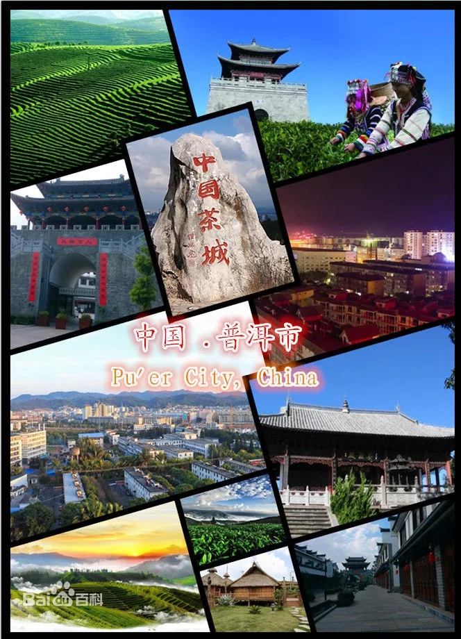 腾博汇游戏官网·(中国)专业服务,诚信为本